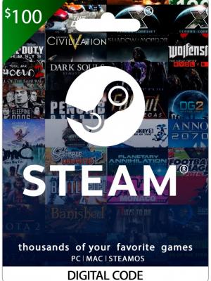 STEAM 100 USD